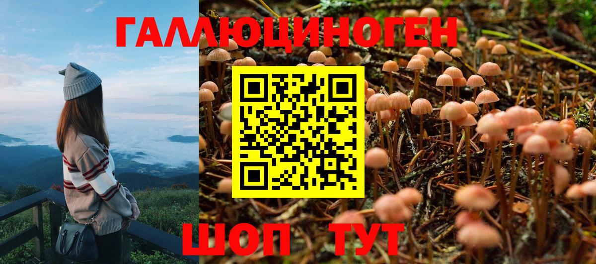 Кувандык  Галлюциногенные грибы мухоморы  Вход с VPN 