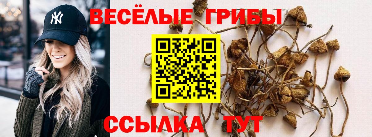 ГАШ Кувандык